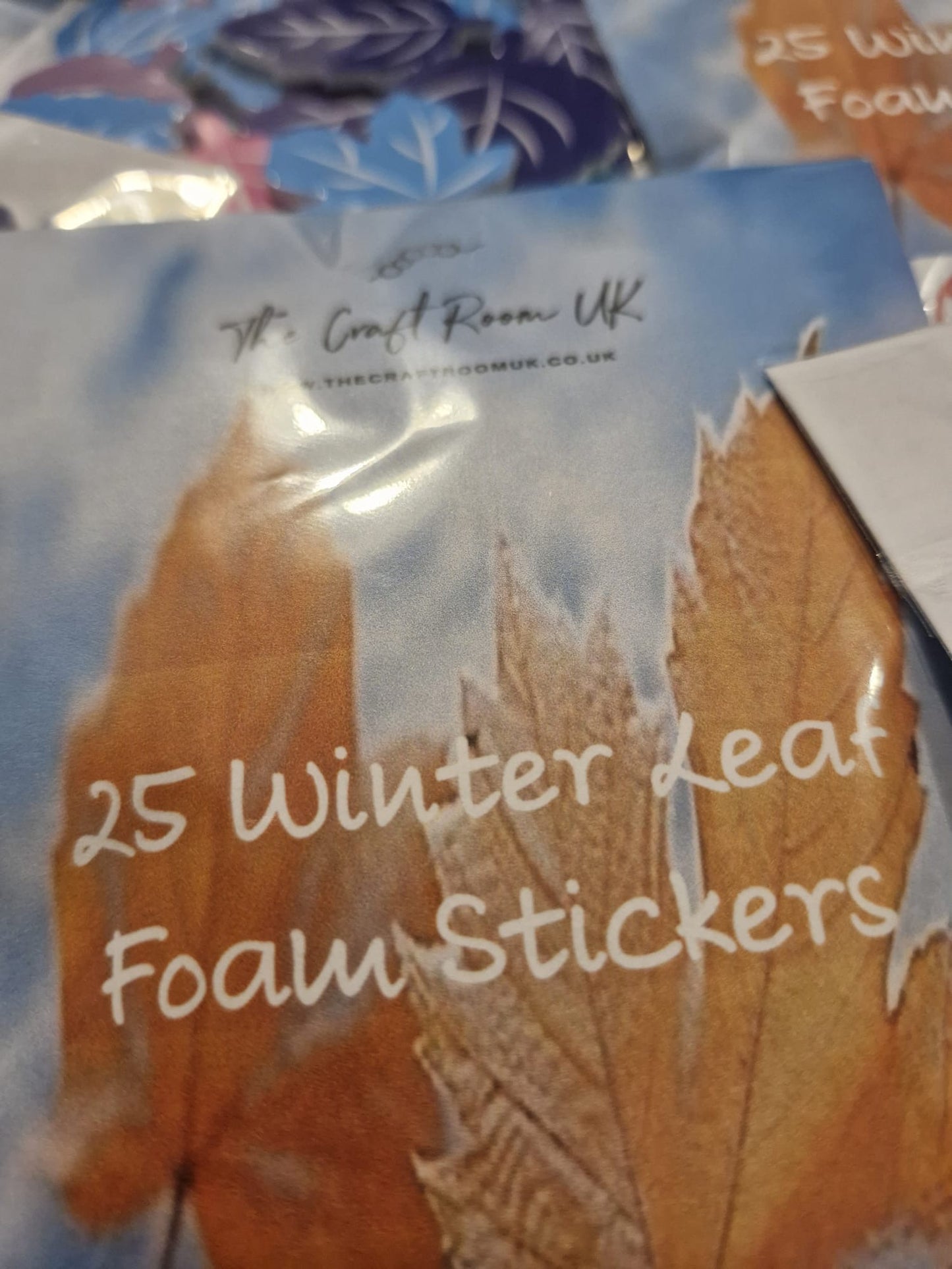 Winter Leaf Foam Stickers