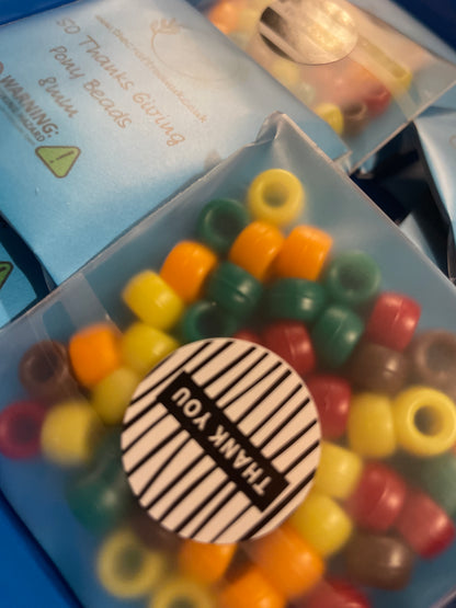 Thanksgiving Pony Beads - The Craft Room UK