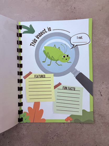Insect Kingdom Activity Book