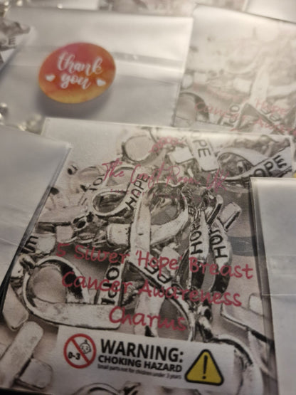 Silver 'Hope' Breast Cancer Awareness Charms